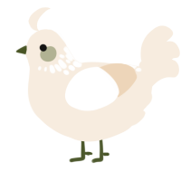 A cream chicken with a neck-speckle pattern