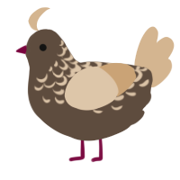 A bark and beige chicken with a half-lace pattern