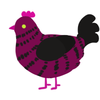A wine and sable chicken with a bar pattern