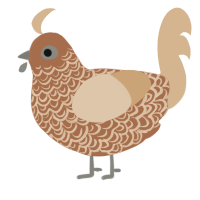 A brown and beige chicken with a double-lace pattern