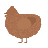 A brown chicken with a double-lace pattern