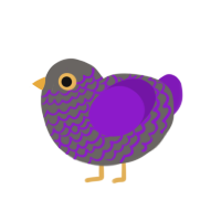 Funky Doo, a grey and violet chicken with a lace pattern