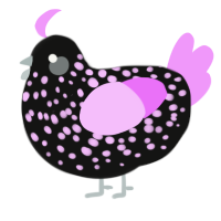 A black and lavender chicken with a speckle pattern