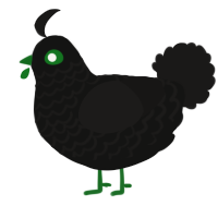 A black and sable chicken with a lace pattern