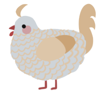 A mist and beige chicken with a lace pattern