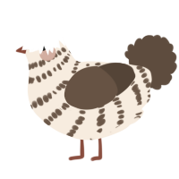 A cream and bark chicken with a bar pattern