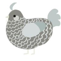 A ash and silver chicken with a lace pattern