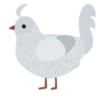A mist chicken with a double-lace pattern