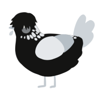 A black and mist chicken with a neck-speckle pattern