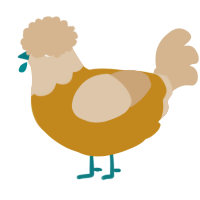 A ochre and beige chicken with a head pattern
