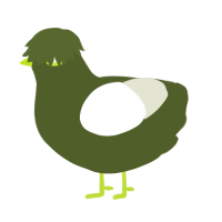 Uranium, a olive and white chicken