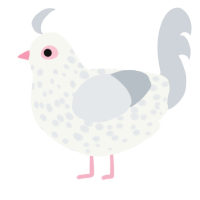 A white and mist chicken with a speckle pattern