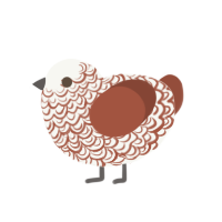 A white and russet chicken with a double-lace pattern