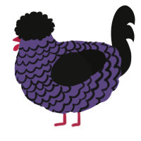 A overcast and black chicken with a lace pattern