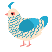 A tumblr and vermilion chicken with a lace pattern