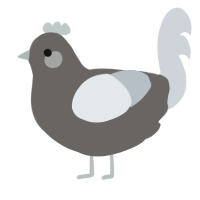 A grey and mist chicken