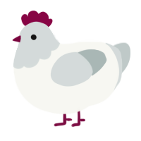 A white and silver chicken with a head pattern