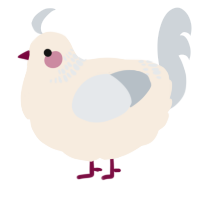 A cream and mist chicken with a neck-band pattern