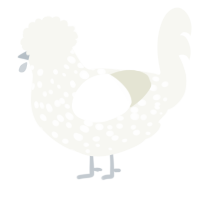 A white chicken with a speckle pattern
