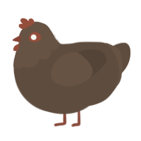 A bark chicken with a head pattern