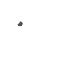 A white chicken with a half-lace pattern