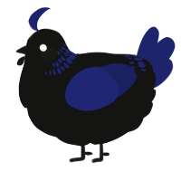 A black and navy chicken with a neck-band pattern