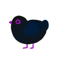 crow², a black and tumblr chicken with a lace pattern