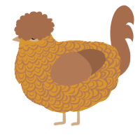A orange and brown chicken with a double-lace pattern
