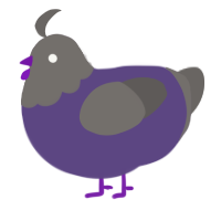 A overcast and grey chicken with a head pattern