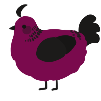 A wine and sable chicken with a neck-band pattern