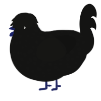 A black chicken with a speckle pattern