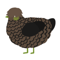 A bark and sable chicken with a lace pattern