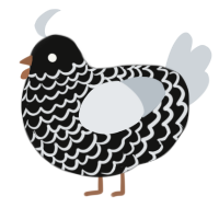 A black and mist chicken with a lace pattern