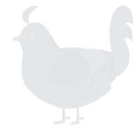 A sable chicken with a lace pattern