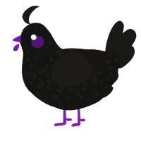 A black and sable chicken with a speckle pattern
