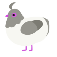 A white and ash chicken with a head pattern