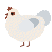 A cream and mist chicken with a lace pattern