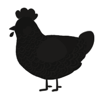 A black and sable chicken with a double-lace pattern