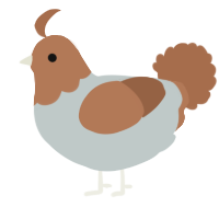 A silver and brown chicken with a head pattern