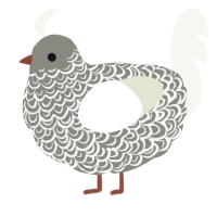 A ash and white chicken with a double-lace pattern