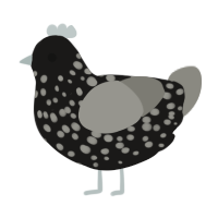 A sable and ash chicken with a speckle pattern