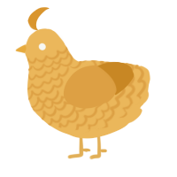 A honey and orange chicken with a lace pattern