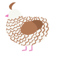 A white and brown chicken with a lace pattern