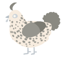 A cream and ash chicken with a speckle pattern
