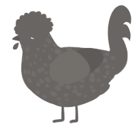 A grey chicken with a speckle pattern