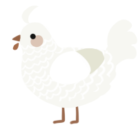 A white chicken with a lace pattern