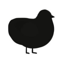 A black chicken