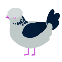 A silver and tumblr chicken with a neck-speckle pattern