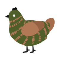 A olive and brown chicken with a bar pattern