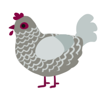 A ash and silver chicken with a lace pattern